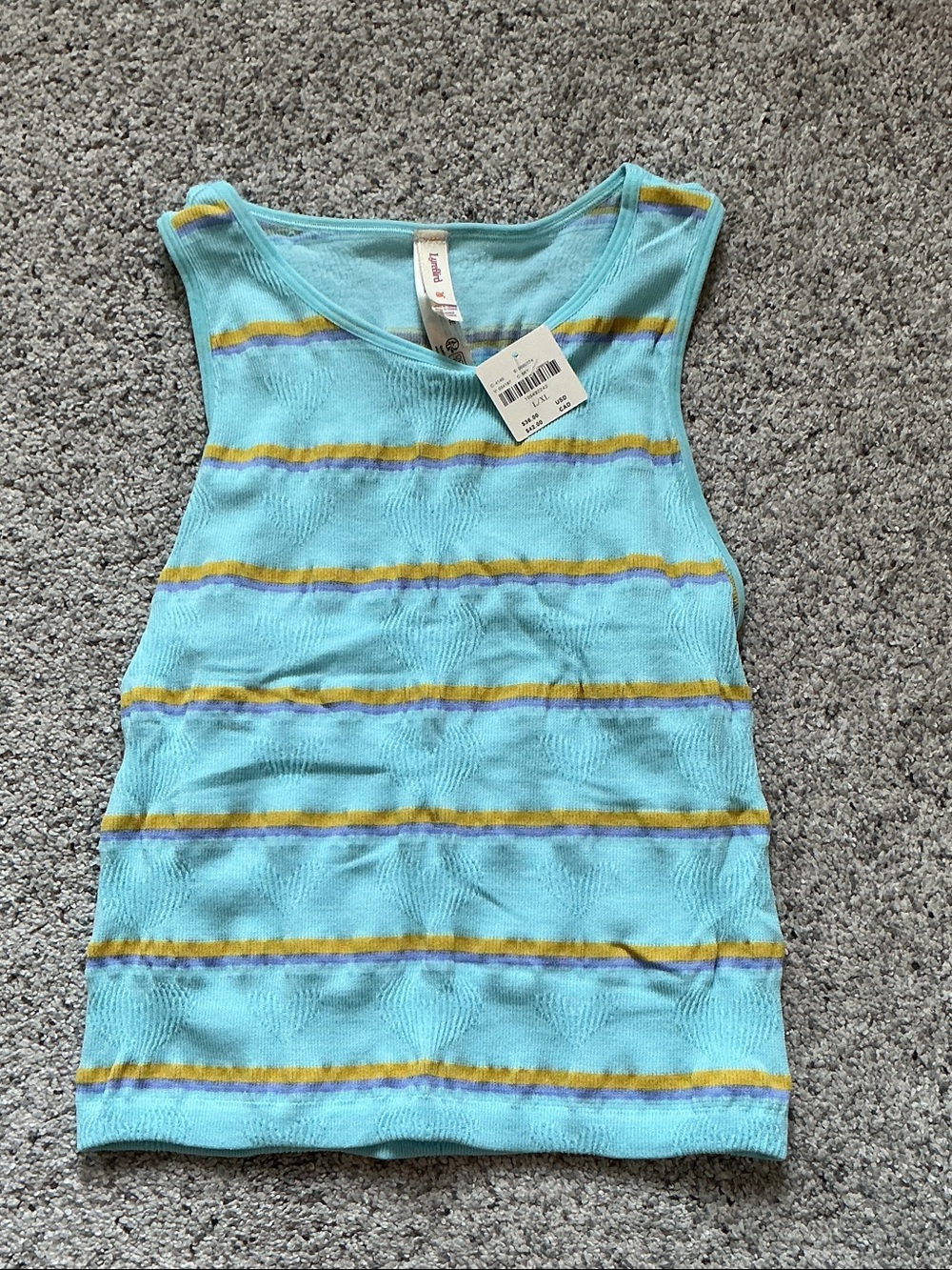 NWT Anthropologie LyreBird Light Blue Striped Tank Top